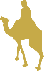Camello - Marruecos Único